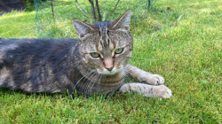 Vorschaubild der Anzeige, (Id: 2000443)