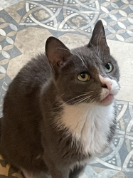 Vorschaubild der Anzeige, (Id: 2000918)