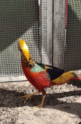 Vorschaubild der Anzeige, (Id: 2002364)