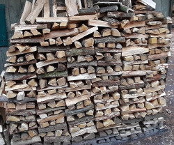 Vorschaubild der Anzeige, (Id: 2002481)