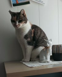 Vorschaubild der Anzeige, (Id: 2004867)