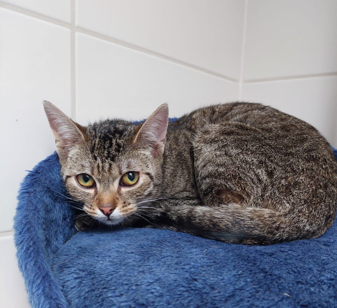 Vorschaubild der Anzeige, (Id: 2014312)