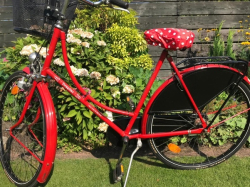 Vorschaubild der Anzeige, (Id: 2016012)