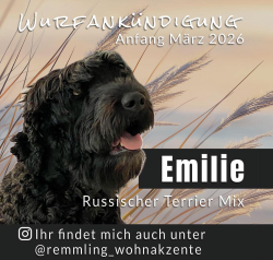 Vorschaubild der Anzeige, (Id: 2016278)