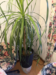 Vorschaubild der Anzeige, (Id: 2017961)