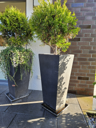 Vorschaubild der Anzeige, (Id: 2023237)