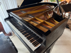 Vorschaubild der Anzeige, (Id: 2026951)