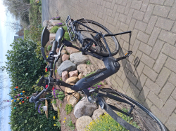 Vorschaubild der Anzeige, (Id: 2030513)