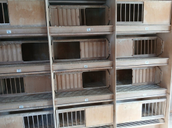 Vorschaubild der Anzeige, (Id: 2030628)