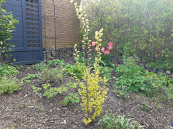 Vorschaubild der Anzeige, (Id: 2030633)