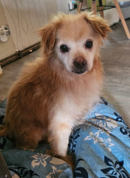 Vorschaubild der Anzeige, (Id: 2030707)