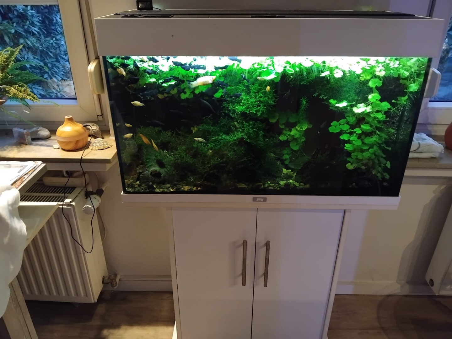 Vorschaubild der Anzeige, (Id: 2031299)