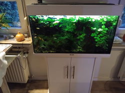 Vorschaubild der Anzeige, (Id: 2031299)