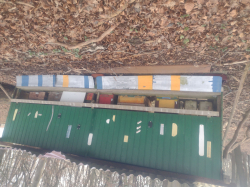 Vorschaubild der Anzeige, (Id: 2032626)