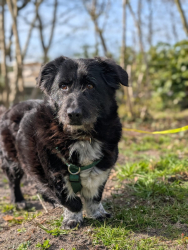 Vorschaubild der Anzeige, (Id: 2032892)