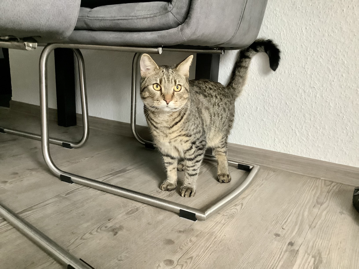 Vorschaubild der Anzeige, (Id: 2037426)