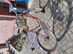 Vorschaubild der Anzeige, (Id: 2071777)