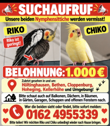 Vorschaubild der Anzeige, (Id: 2080119)